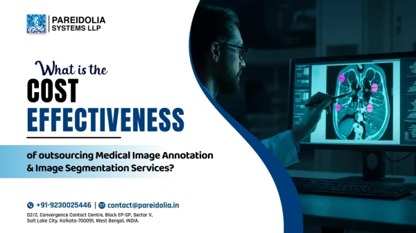 medical Image Annotation Services