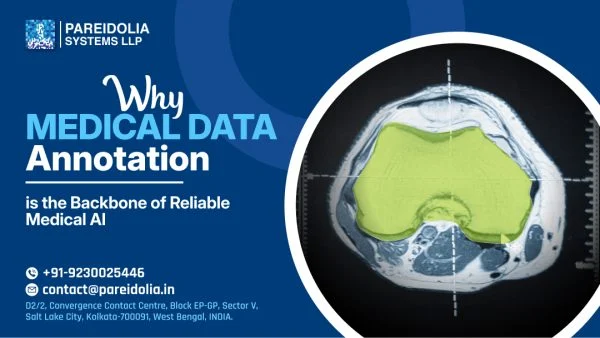 Medical Data Annotation