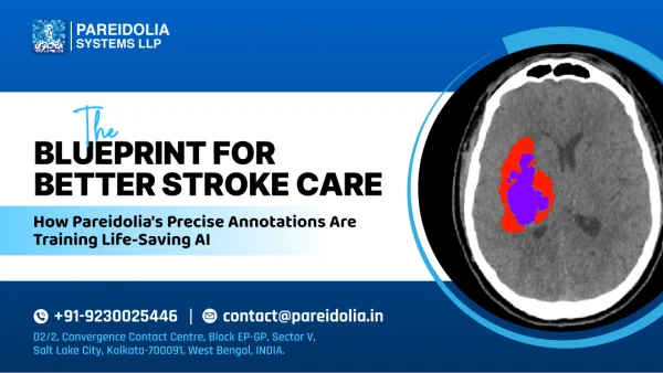 The Blueprint for Better Stroke Care:How Pareidolia’s Precise Annotations Are Training Life-Saving AI