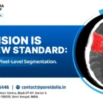 Pixel Level Segmentation in Medical Imaging