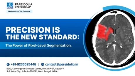 Pixel Level Segmentation in Medical Imaging