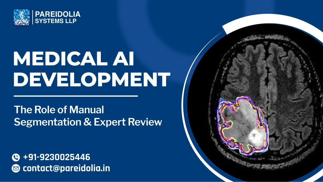 Mastering Medical AI Development: The Role of Manual Segmentation & Expert Review
