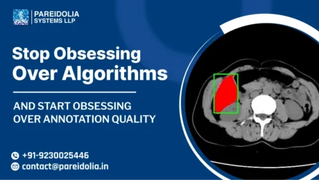 AI Data Annotation Services