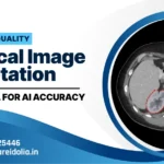 Medical image annotation accuracy