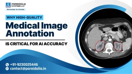 Medical image annotation accuracy