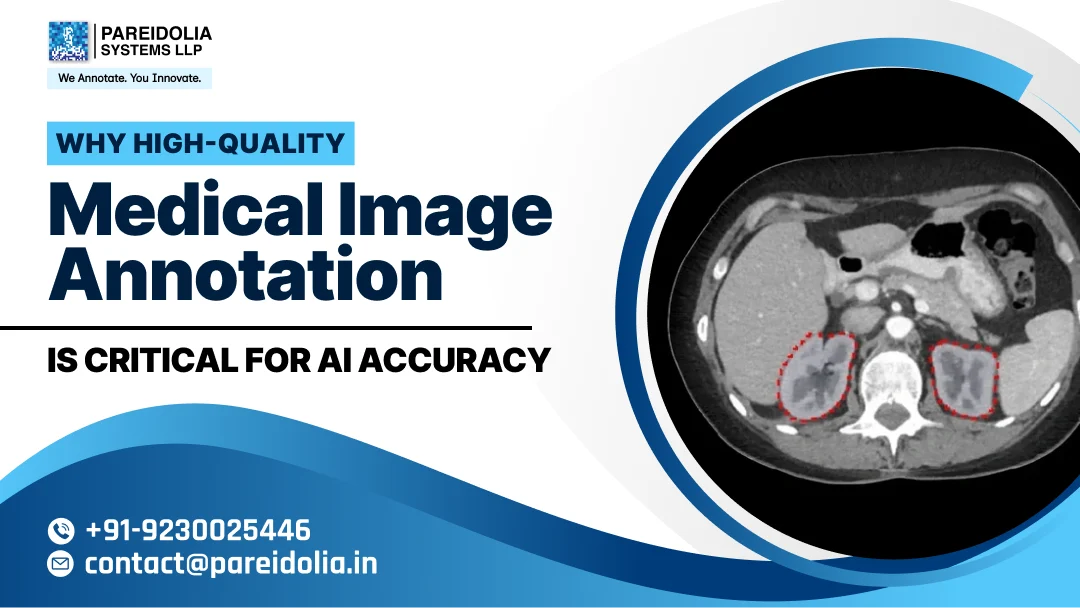 Why High-Quality Medical Image Annotation Is Critical for AI Accuracy