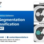 image classification vs segmentation