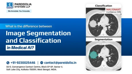 image classification vs segmentation