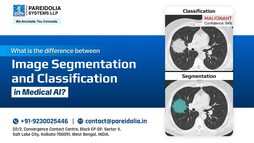 What Is the Difference Between image classification vs segmentation in Medical AI?