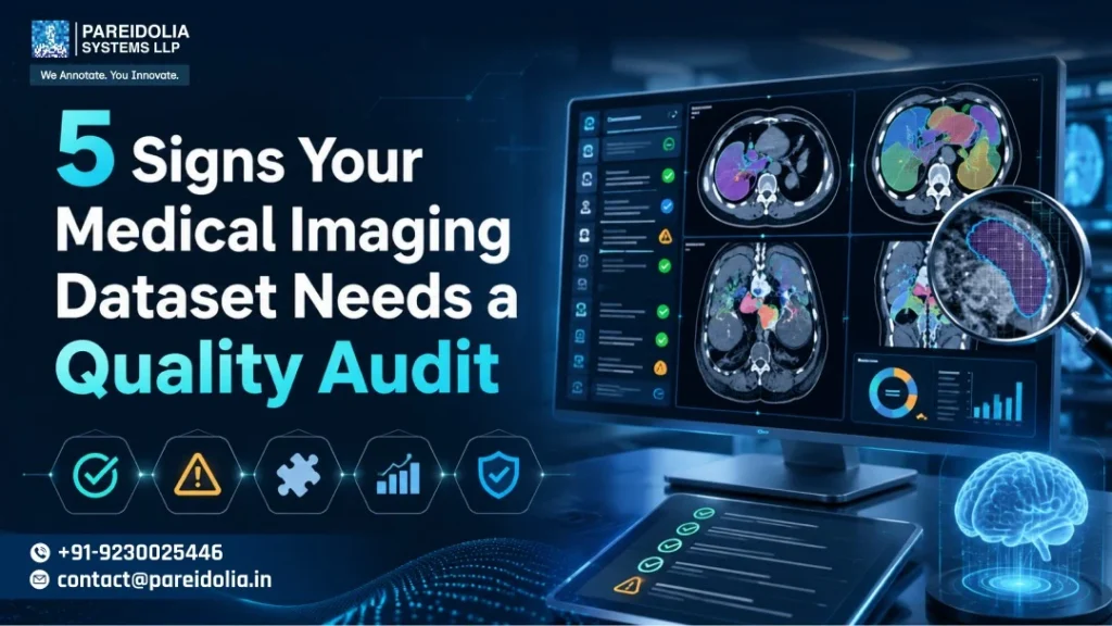 Medical Imaging Dataset Quality