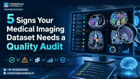 Medical Imaging Dataset Quality