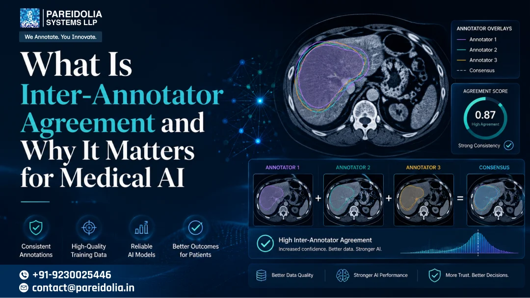 Inter Annotator Agreement in Medical Imaging Full Guide