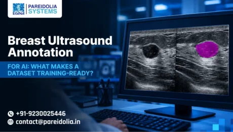 Breast Ultrasound Annotation