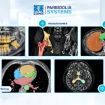 Medical Image Annotation Service