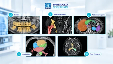 Medical Image Annotation Service
