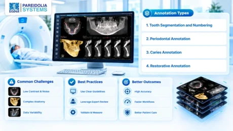 CBCT annotation
