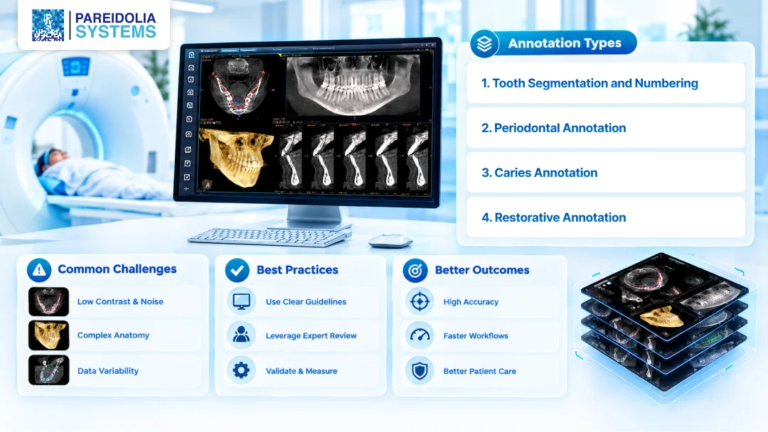 How to Build Training-Ready CBCT Datasets: Annotation Types, Common Challenges, and Best Practices